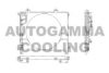 AUTOGAMMA 102613 Condenser, air conditioning